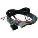 FORD/LINCOLN/MERCURY OEM Amplifier Bypass Harness Inc. Antenna Adapter/Extension