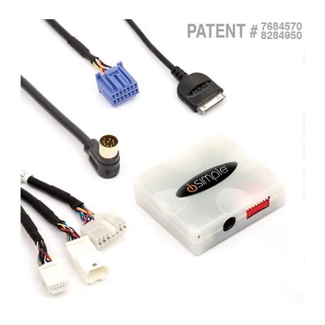 Asian/Import iPod interface kit